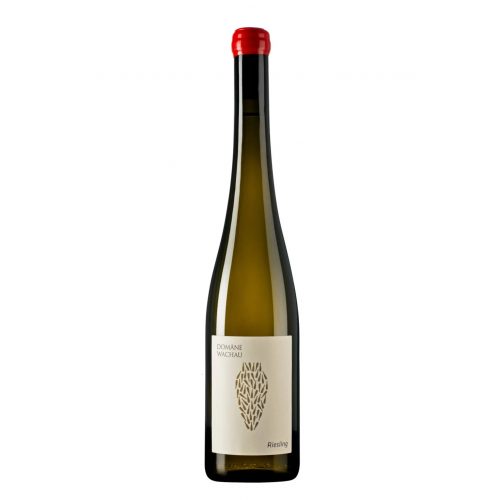 DOMAENE WACHAU Riesling Amphora