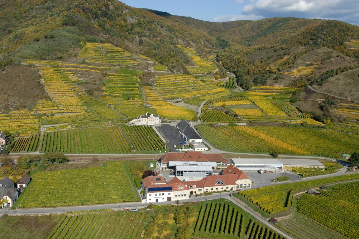 austrian wine osztrák bor ausztria borai domane wachau grüner veltliner riesling zöldveltelini rajnai rizling