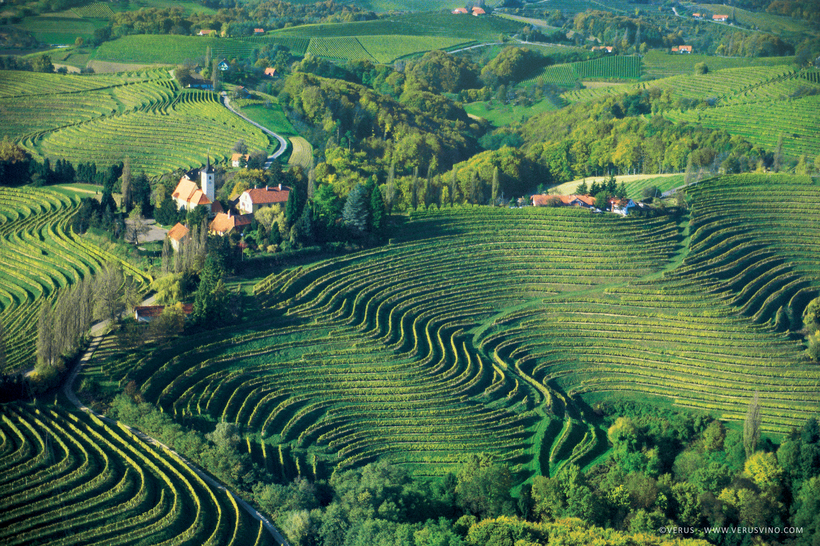 slovenian wines szlovén borok stajerska slovenia stájerország sauvinon blanc verus dveri pax