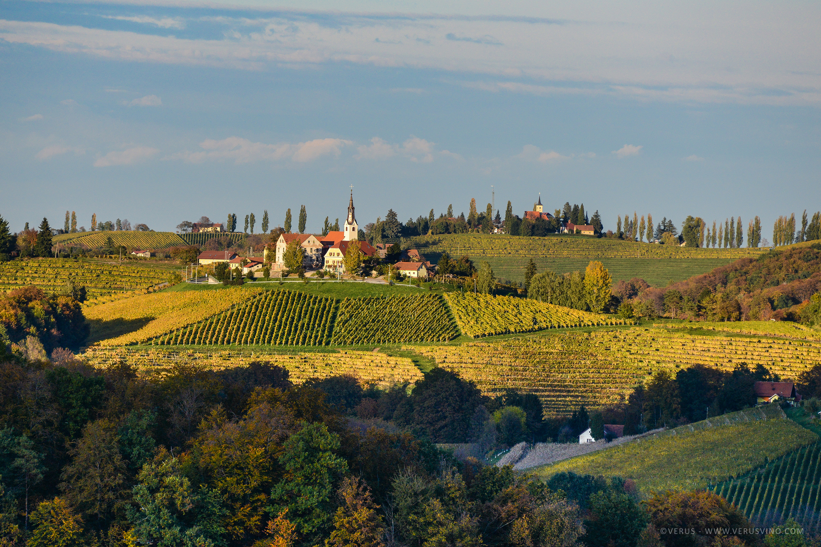 slovenian wine szlovén bor verus stajerska slovenia sauvignon blanc stájerország sipon