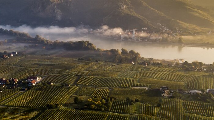 austrian wine osztrák bor ausztria borai wachau josef fischer grüner veltliner riesling zöldveltelini