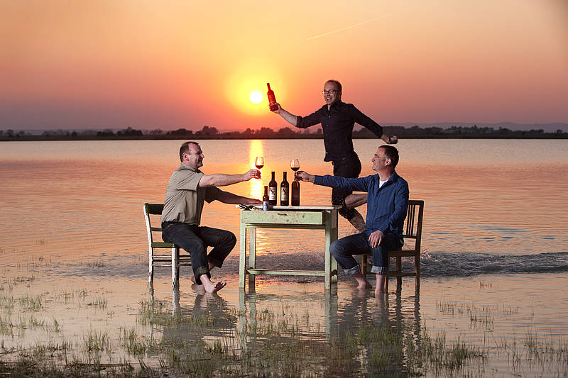 austrian wine osztrák bor ausztria borai fertő tó zantho neusiedlersee kékfrankos blaufrankisch zweigelt st laurent andau