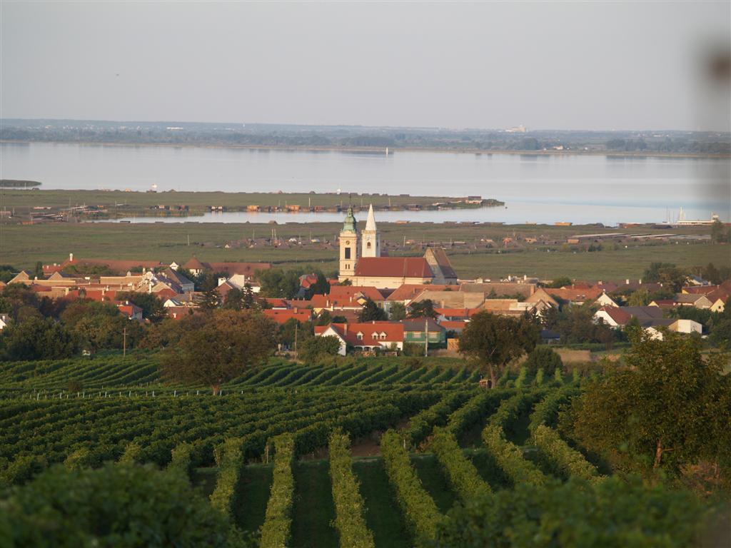 austrian wines osztrák bor ausztria borai neuseedlersee fertő tó zweigelt