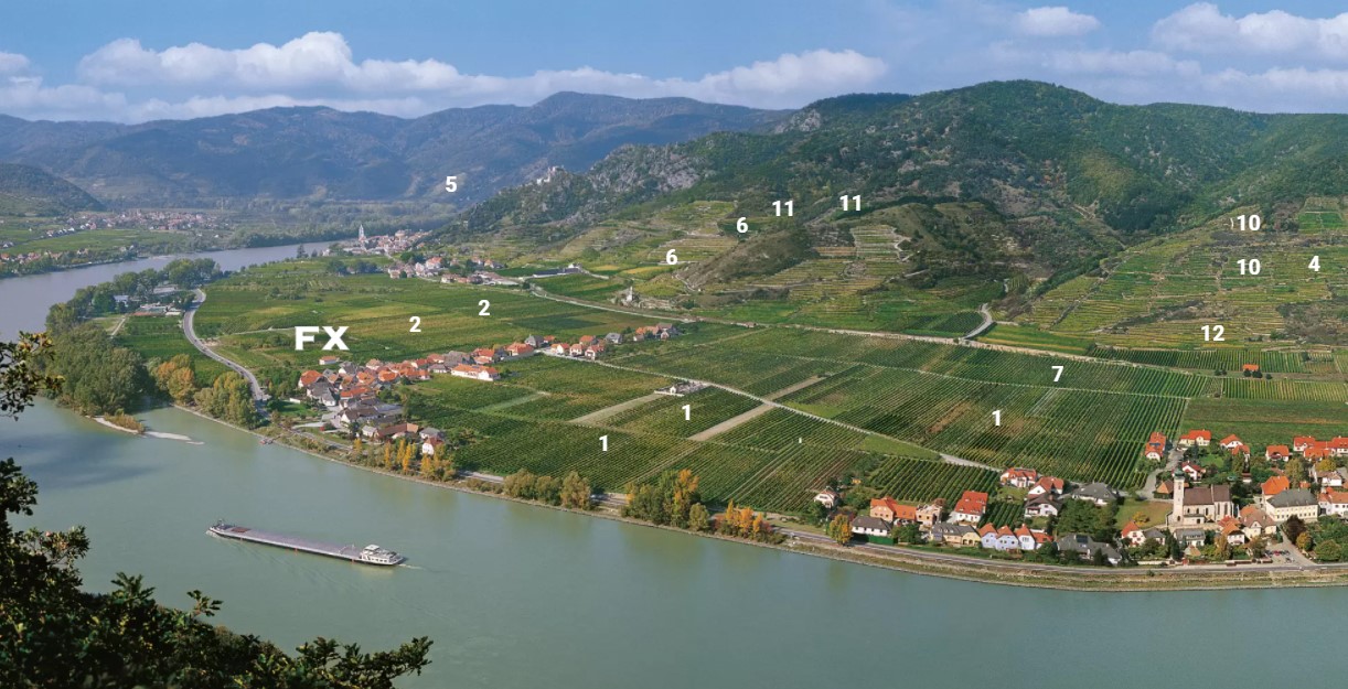 fx pichler dűlők grüner veltliner loibner