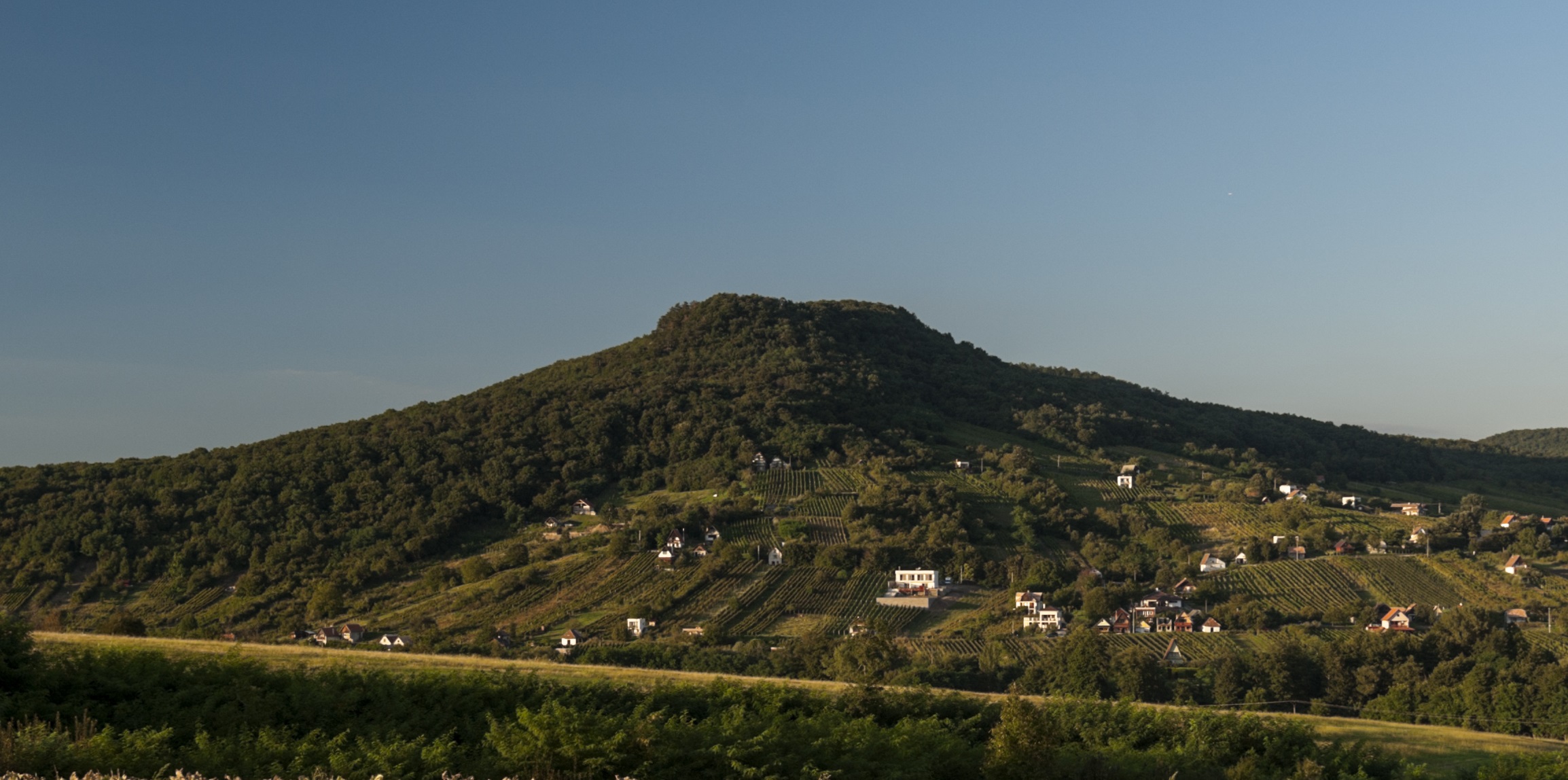 slovakia wine ipolynyek csernus winery