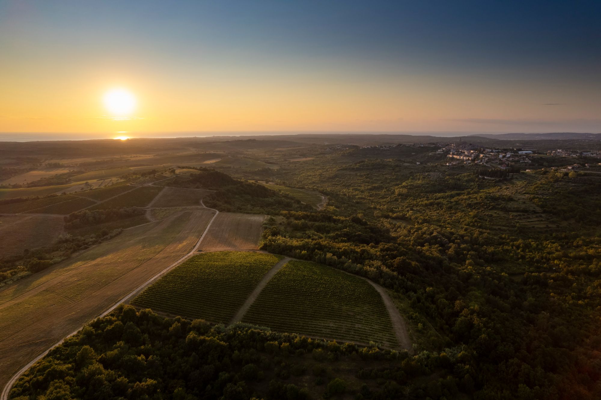 croatia wine veralda isztria malvasia