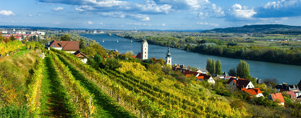 austrian wines osztrák bor ausztria borai kremstal riesling grüner veltliner zöldveltelini rajnai rizling