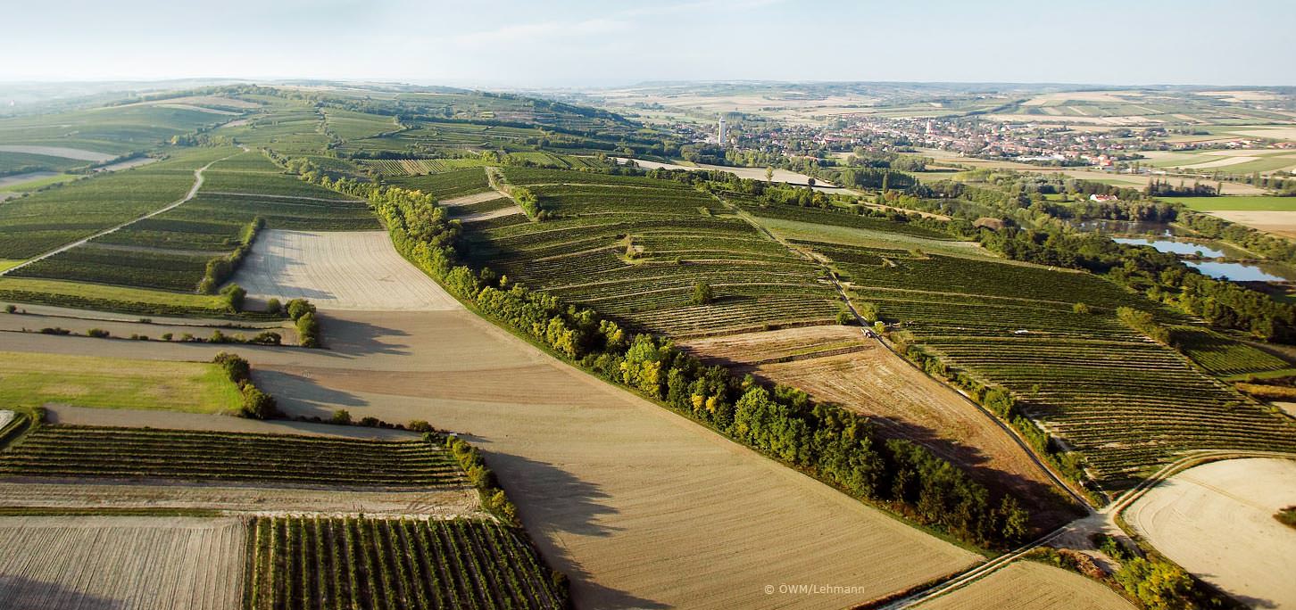 austrian wines osztrák bor ausztria borai wagram grüner veltliner riesling zöldveltelini rajnai rizling roter veltliner fritsch