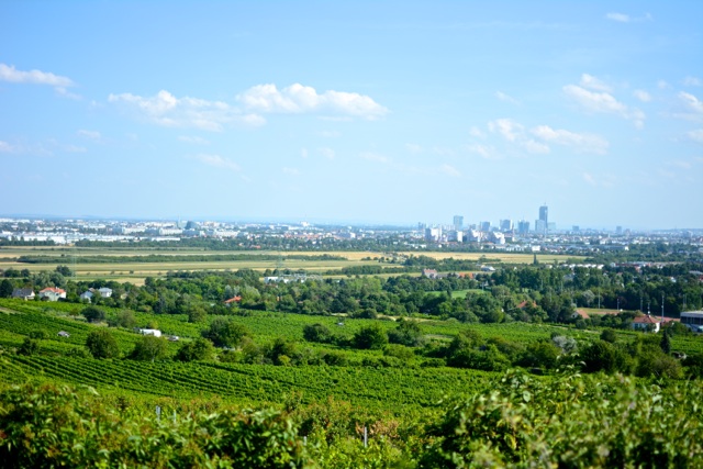 austrian wine wieninger wien bécs gemischter satz